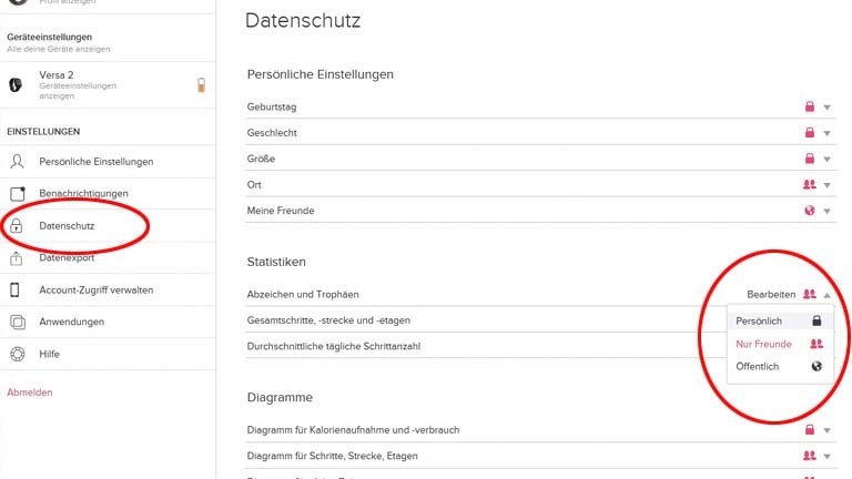 Fitbit-Abzeichen: Über den Webbrowser Abzeichen freigeben